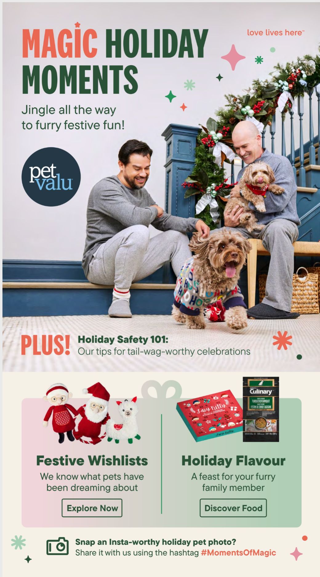 pat valu black friday flyer 1