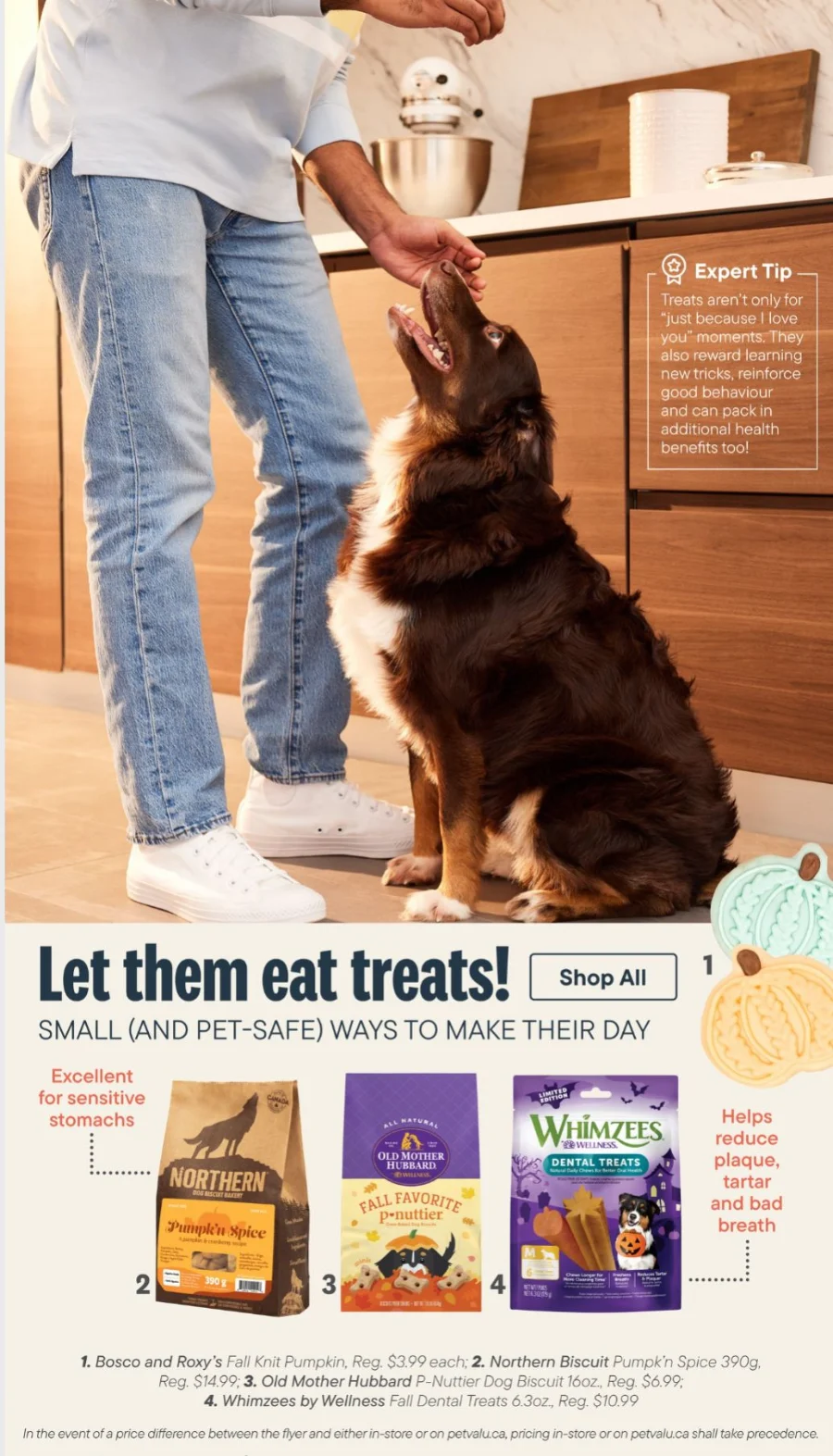 pet valu flyer october 1 31 8