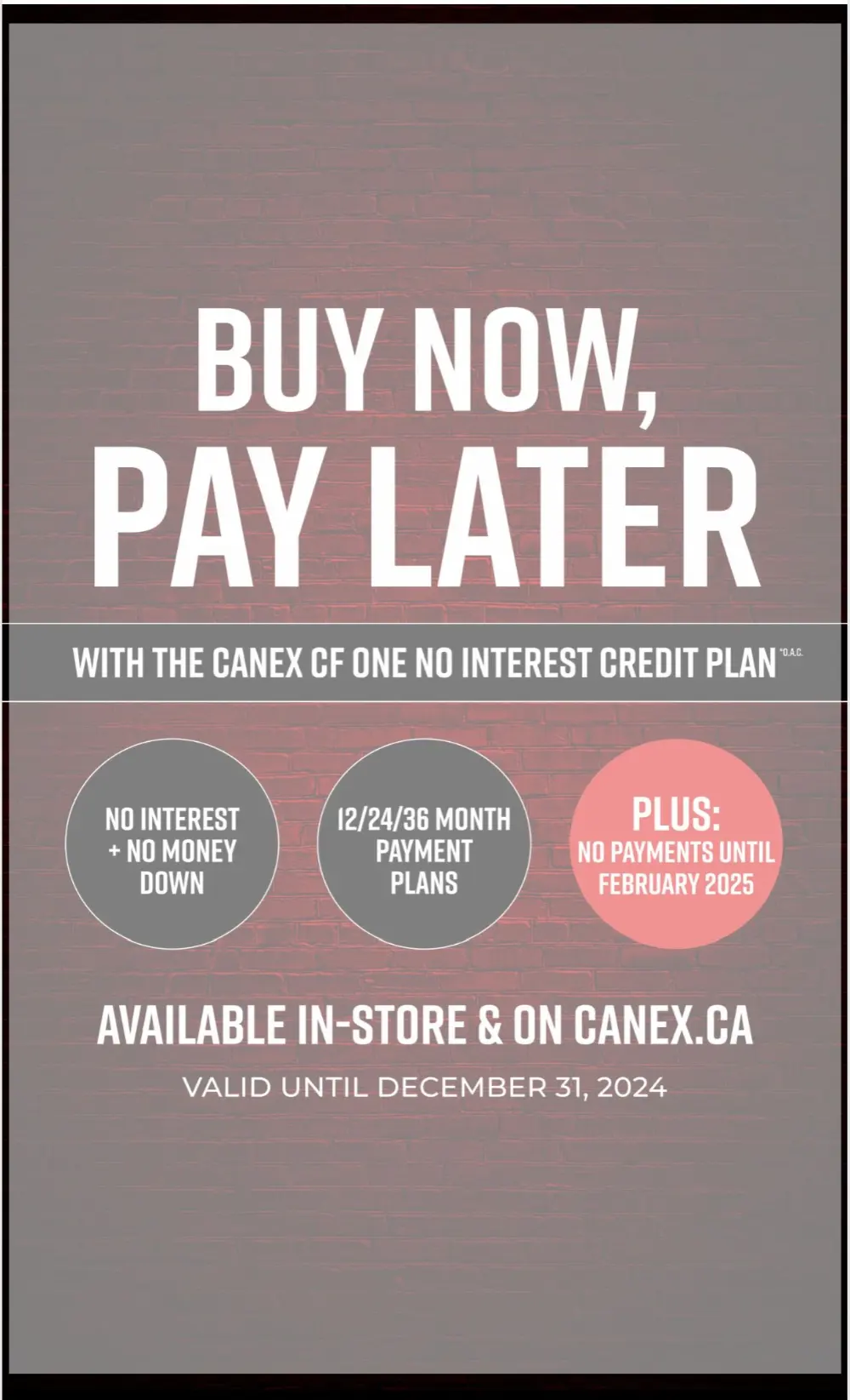 canex black friday flyer 34