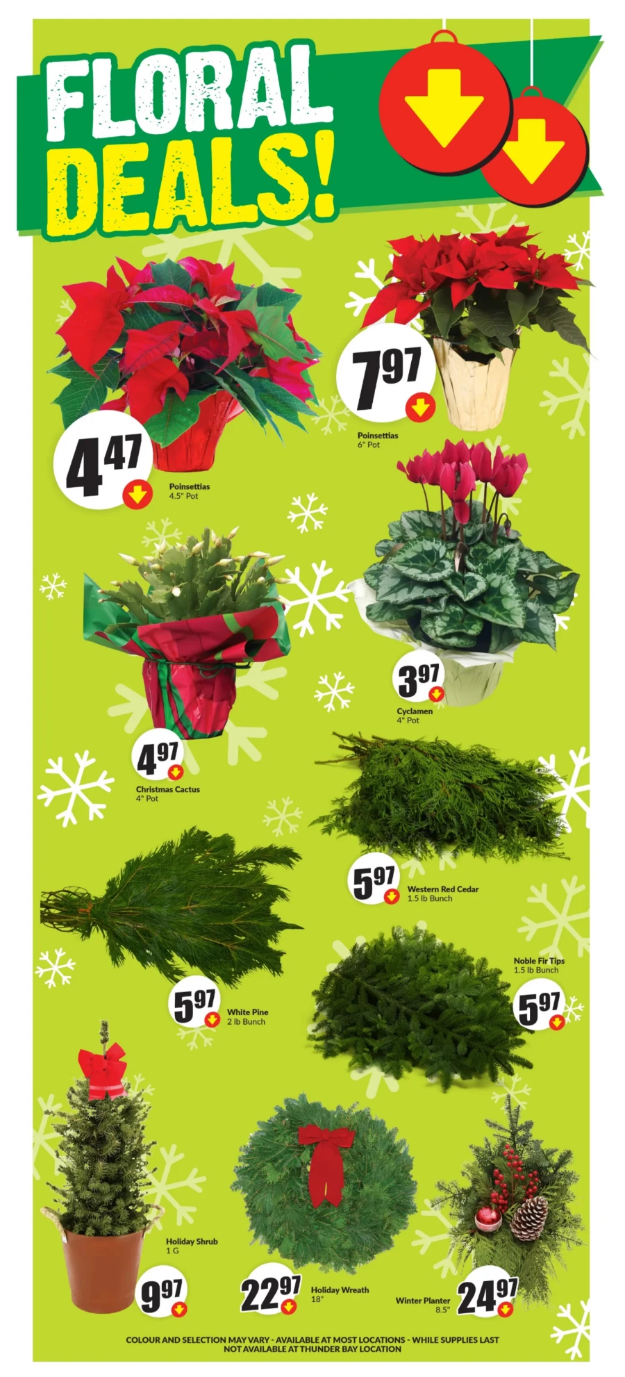 freshco flyer november 28 6