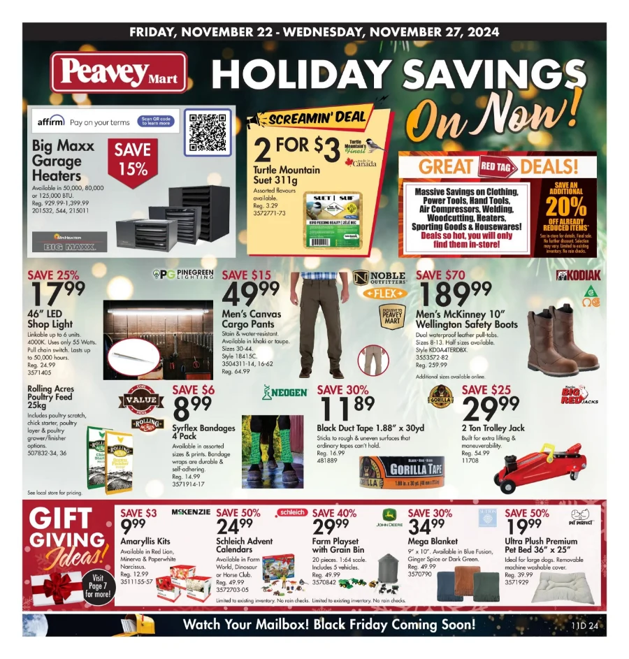 peavey mart flyer november 22 28 1