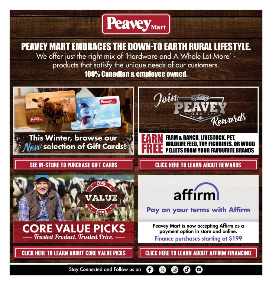 peavey mart flyer november 29 7