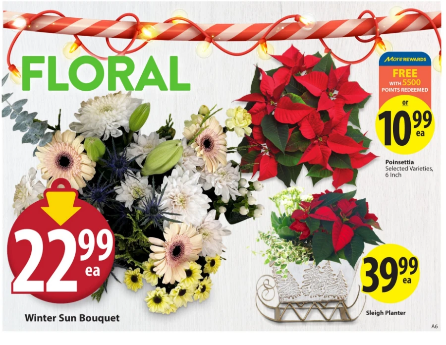 save on foods flyer november 21 27 6